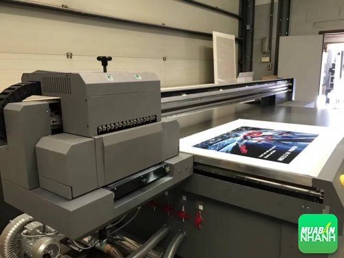 Máy in phẳng UV giá rẻ